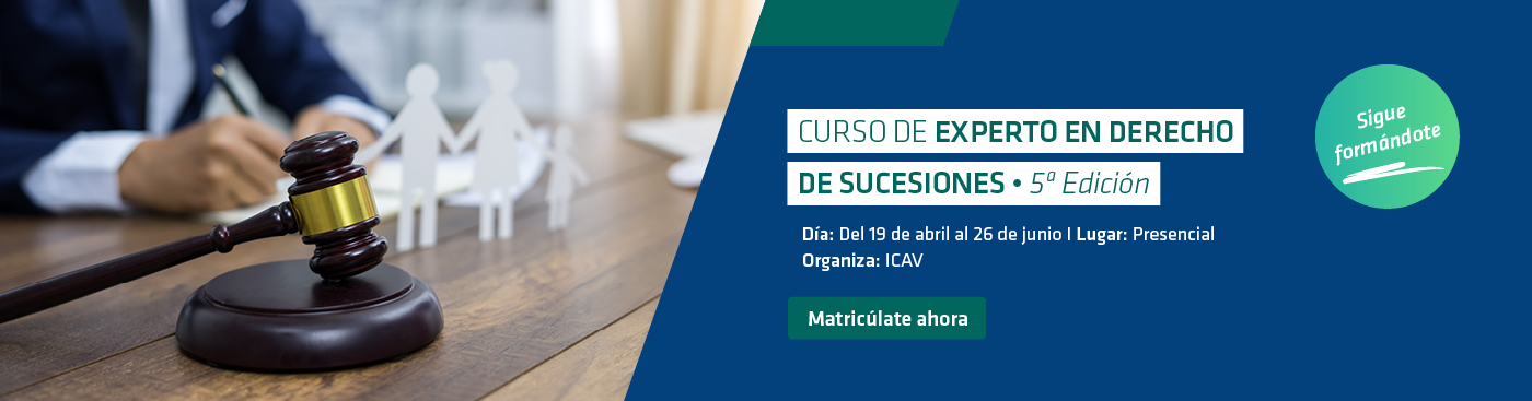 <p>Derecho Sucesiones</p>