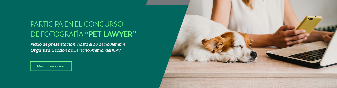 <p>Concurso fotografía "Pet Lawer"</p>