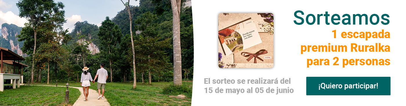 <p>Sorteo</p>